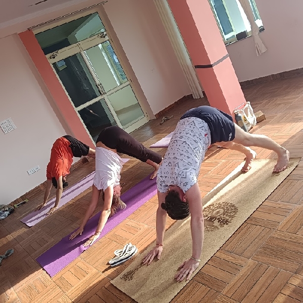 Asana Practice